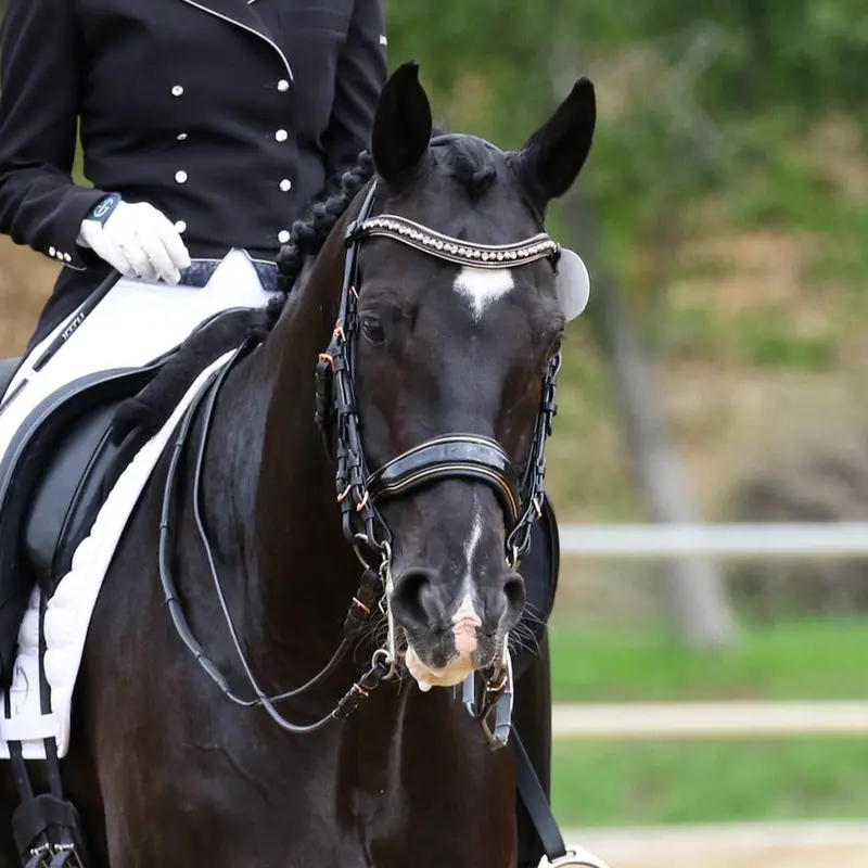 Aurelia Double Bridle – Black Patent Leather With Rose Gold Hardware 1