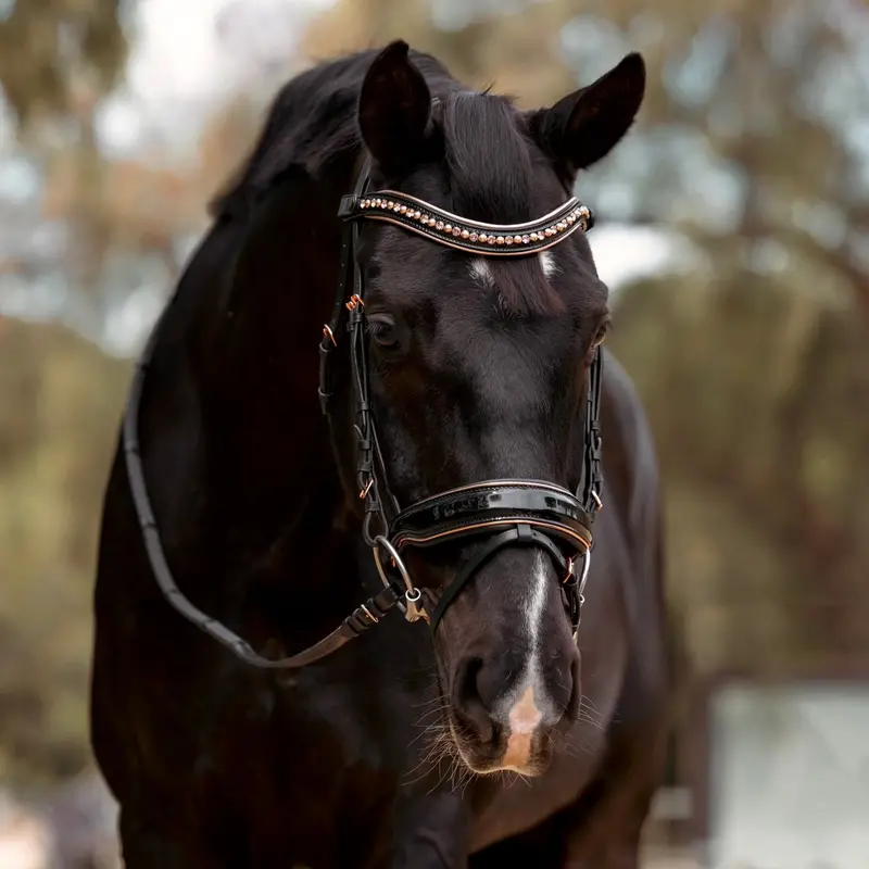 Aurelia Rose Gold & Black Patent Snaffle Bridle With Removable Flash 1