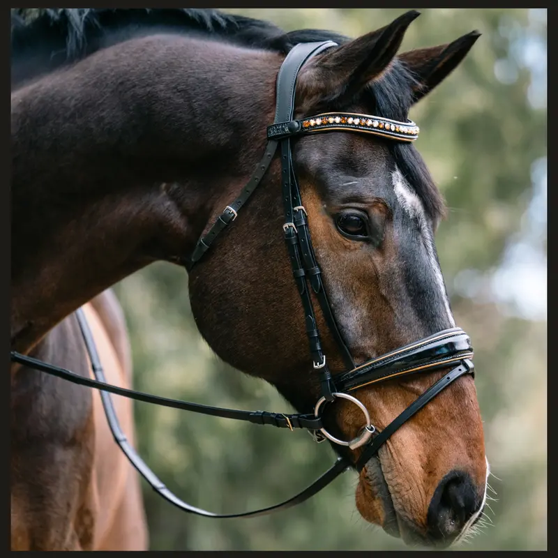 Geneva Black Patent Snaffle Bridle With Gold Metallic Piping 1