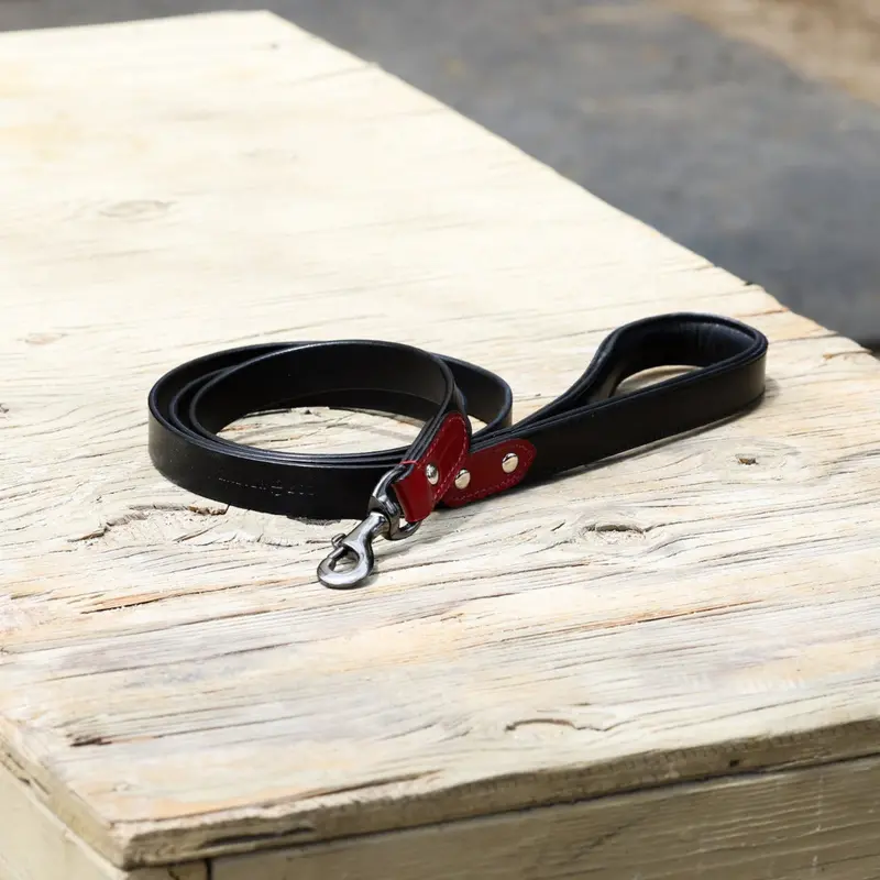 Halter Ego® Breanna Dog Leash – Premium Leather With Classic Hardware 1