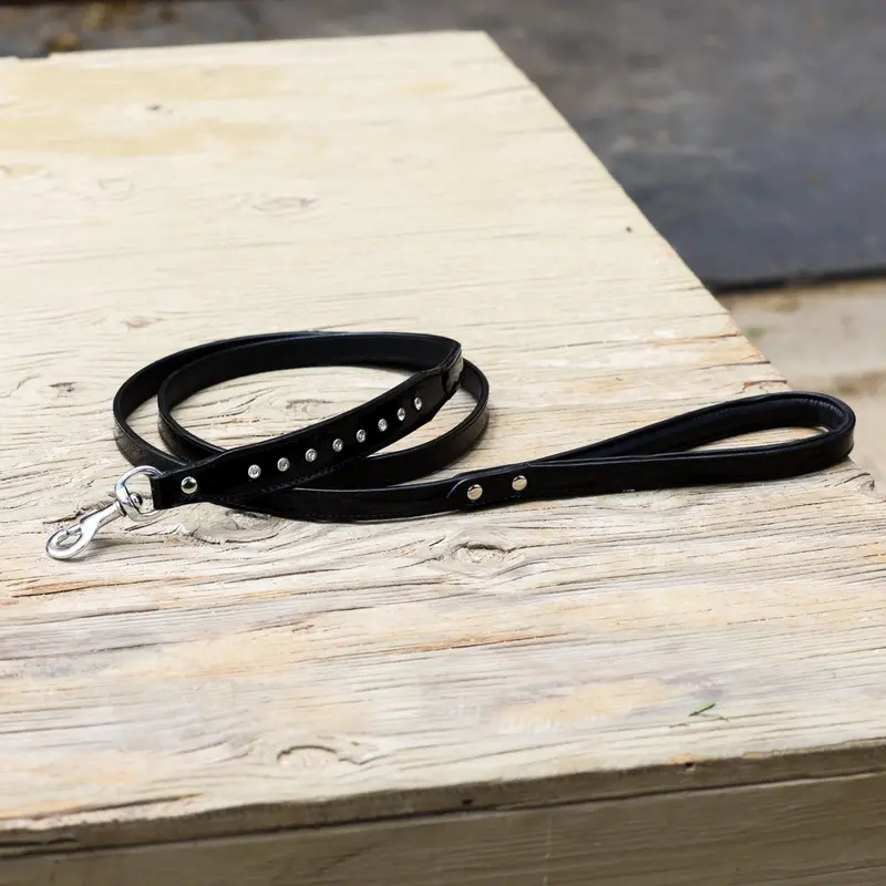 Halter Ego® Celebrity Dog Leash – Black Patent Leather Statement Piece 1
