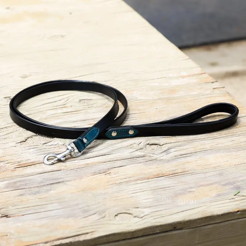 Halter Ego Metallic Teal Reflective Dog Leash 1