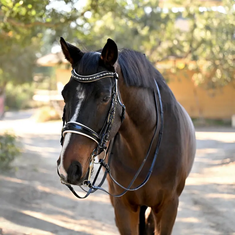 Harlow Black Rolled Leather Double Bridle – Classic English Style 1