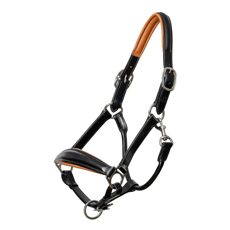 Tuscany Black Leather Halter With Cognac Accented Padding 1