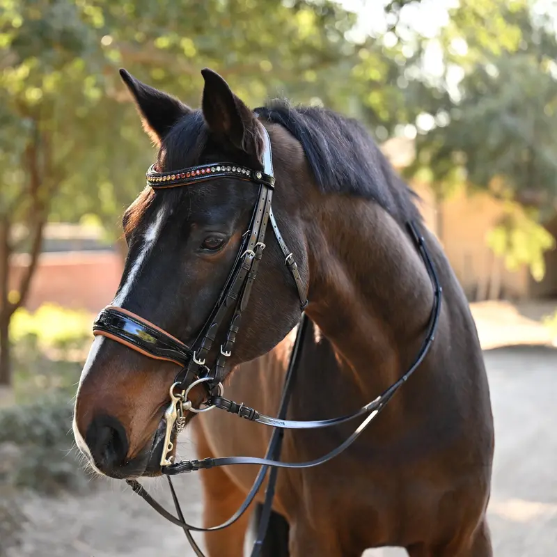 Tuscany Black Patent Leather Double Bridle 1