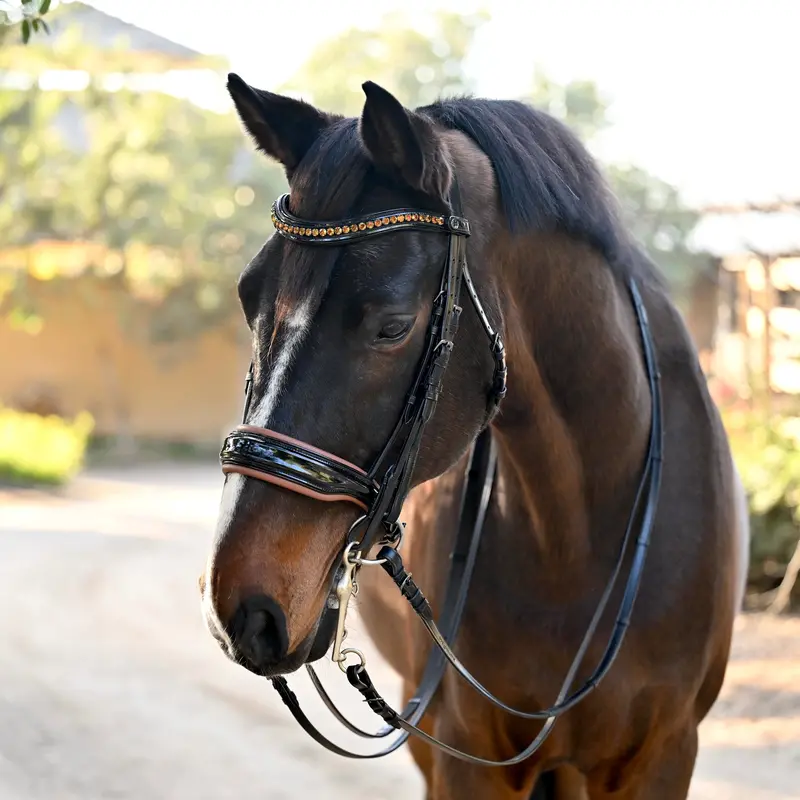 Umbria Black Patent Leather Double Bridle – Sleek Rolled Design 1