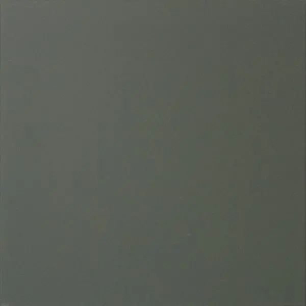 Winc Australian Green Porcelain Tile - Per Square Meter 1